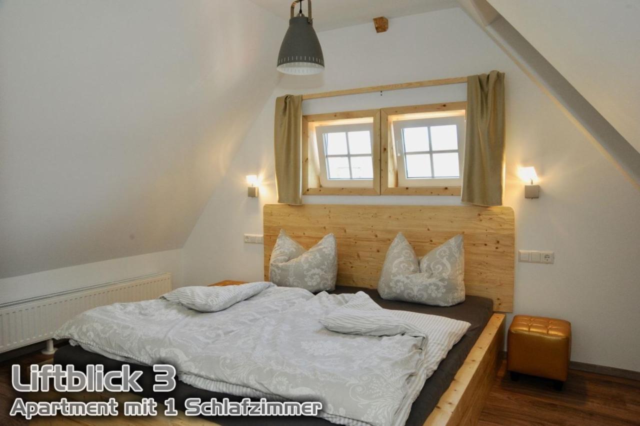 Ferienwohnungen "Liftblick 2 Oder 3" Im Kurort Altenberg  Extérieur photo