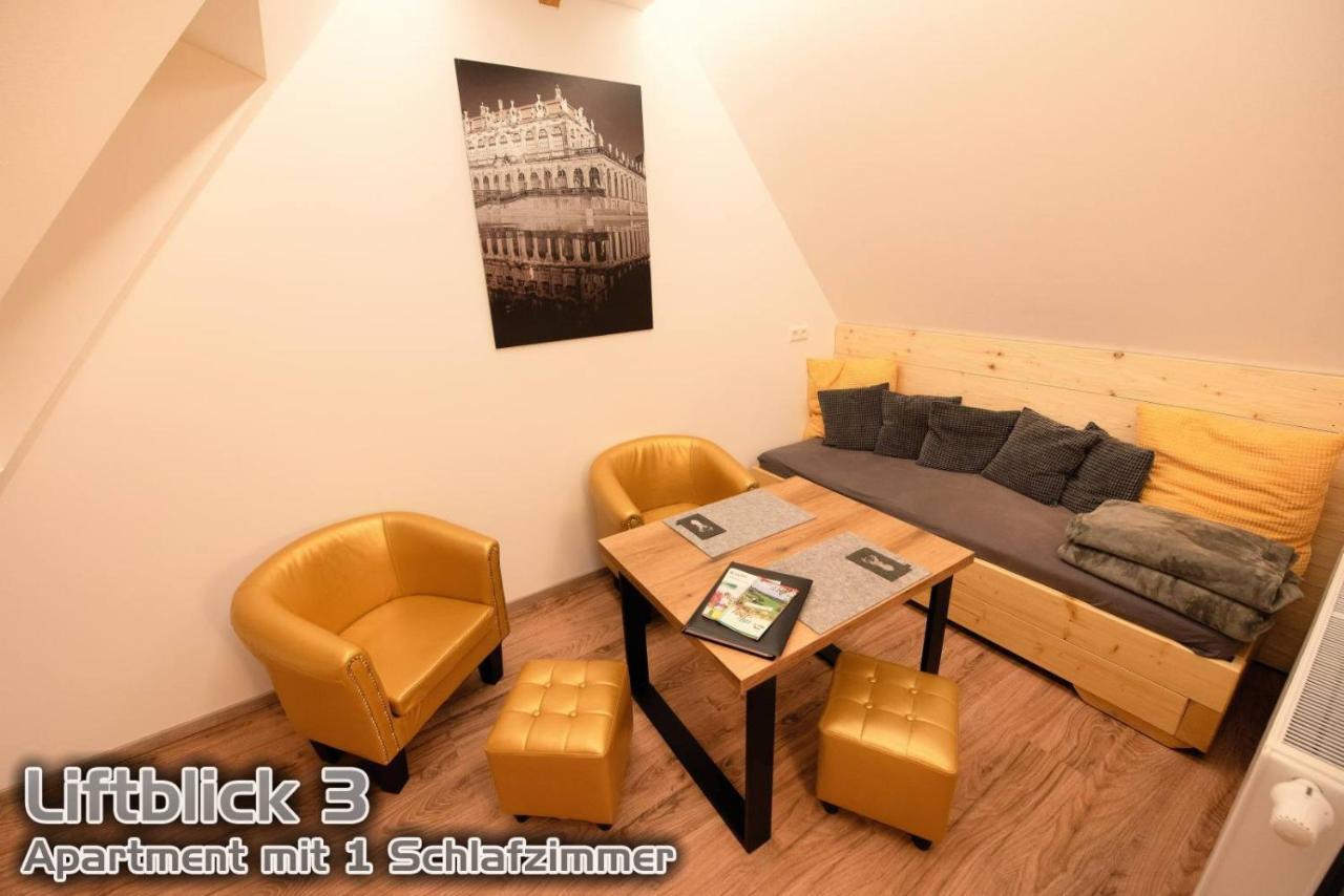 Ferienwohnungen "Liftblick 2 Oder 3" Im Kurort Altenberg  Extérieur photo